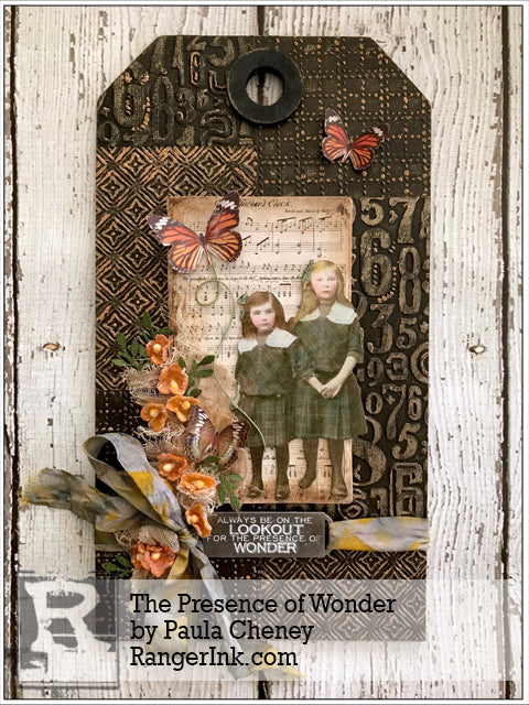 The Presence of Wonder by Paula Cheney