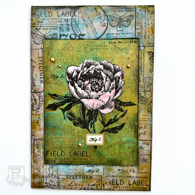 Tim Holtz Distress Vintage Spring Card by Dominique Bennani