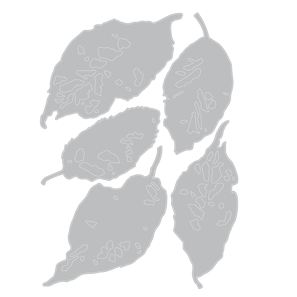 Tim Holtz Sizzix Thinlits Die Set Leaf Fragments 5pk Cutting Dies Tim Holtz Other 