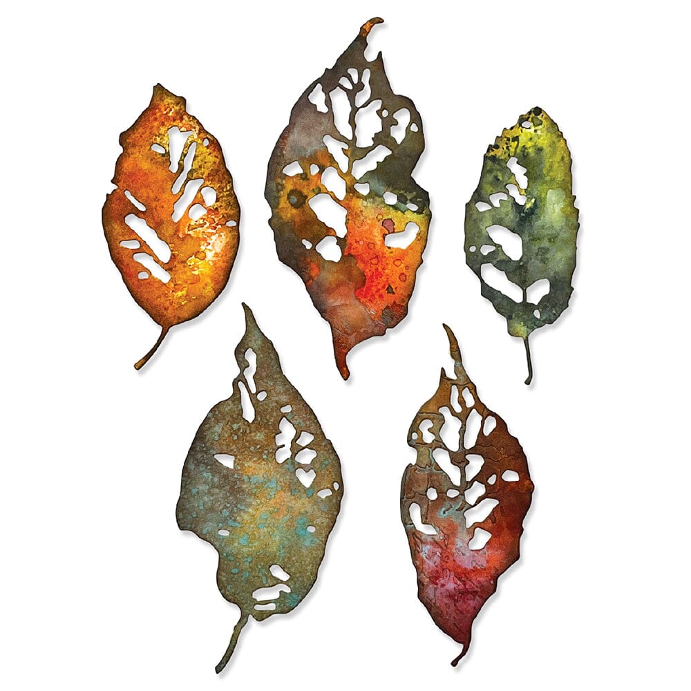 Tim Holtz Sizzix Thinlits Die Set Leaf Fragments 5pk Cutting Dies Tim Holtz Other 