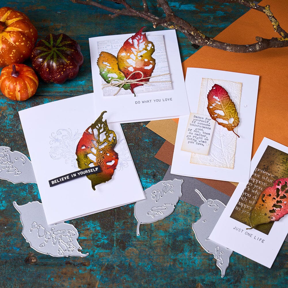 Tim Holtz Sizzix Thinlits Die Set Leaf Fragments 5pk Cutting Dies Tim Holtz Other 