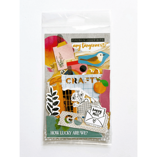 Amy Tangerine - Fresh & Juicy Bits, Ephemera 2 Surfaces Amy Tangerine 
