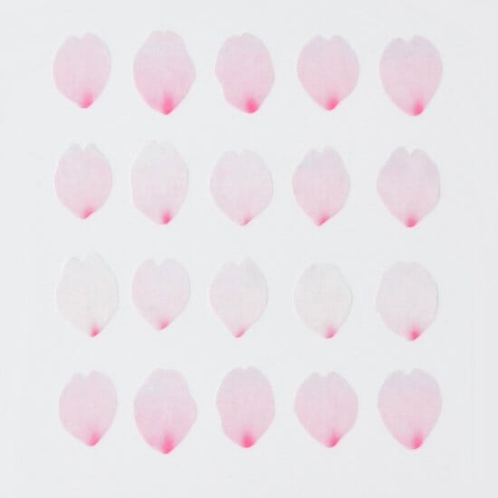 Bande Washi Roll Sticker - Cherry Blossom Petals Bloom Washi Tape Bande 