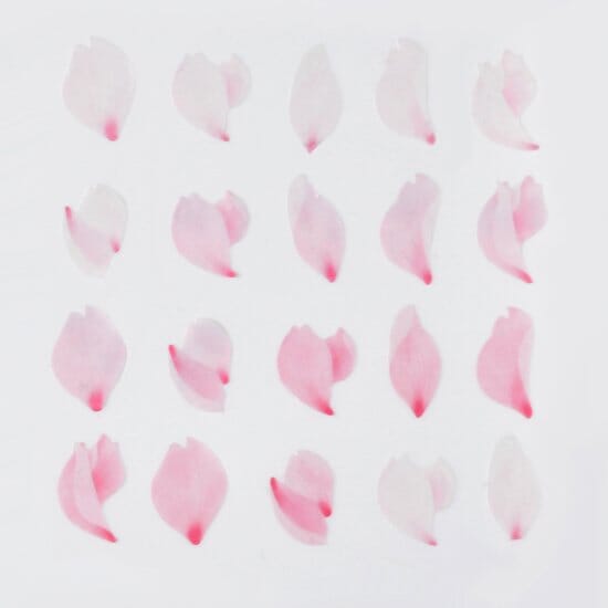 Bande Washi Roll Sticker - Cherry Blossom Petals Dancing Washi Tape Bande 