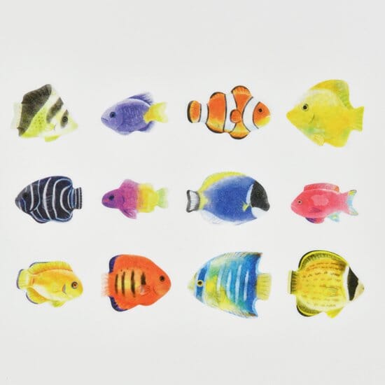 Bande Washi Roll Sticker - Sea Creatures Tropical Fish Washi Tape Bande 