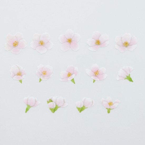 Bande Washi Roll Sticker - Somei Yoshino Cherry Tree Washi Tape Bande 