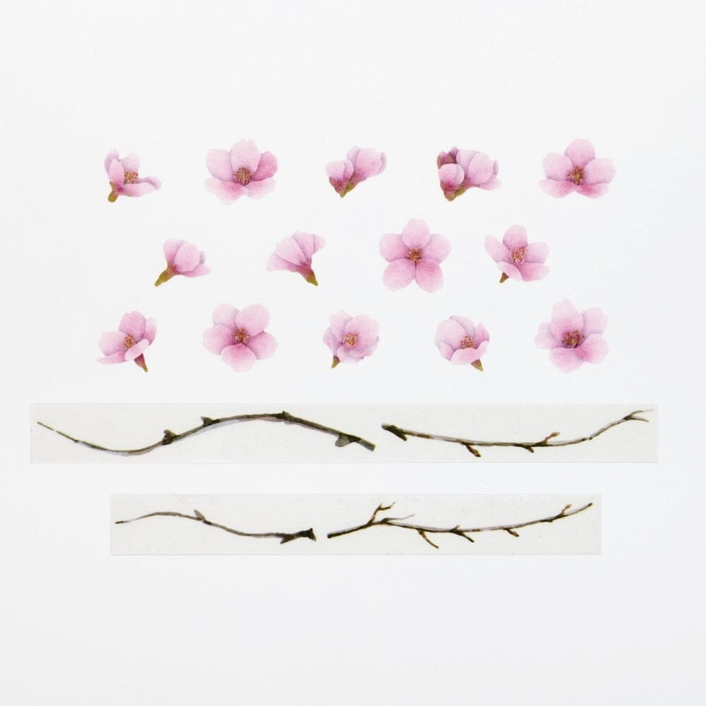 Bande Washi Roll Sticker and Masking Tape - Kawazu Cherry Tree Washi Tape Bande 