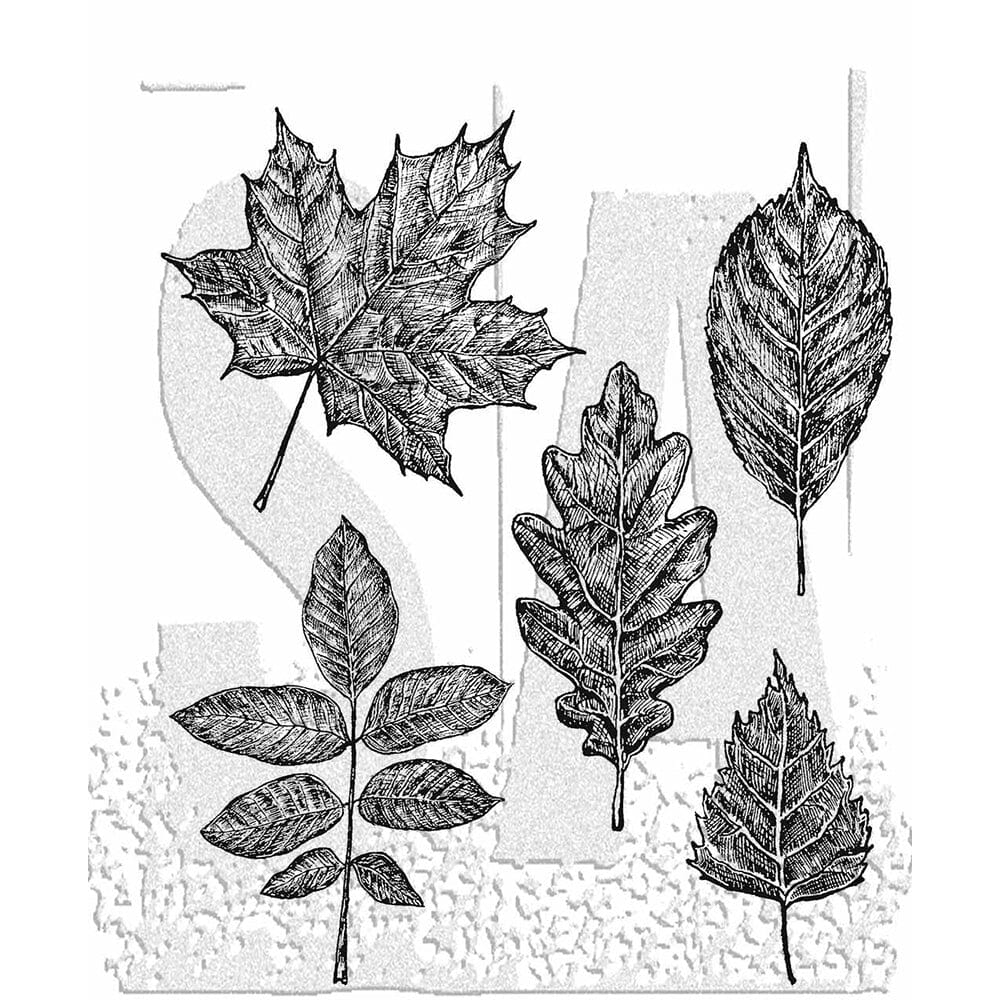 Tim Holtz Stampers Anonymous Stamp Sketchy Leaves Stampers Anonymous Tim Holtz Other 