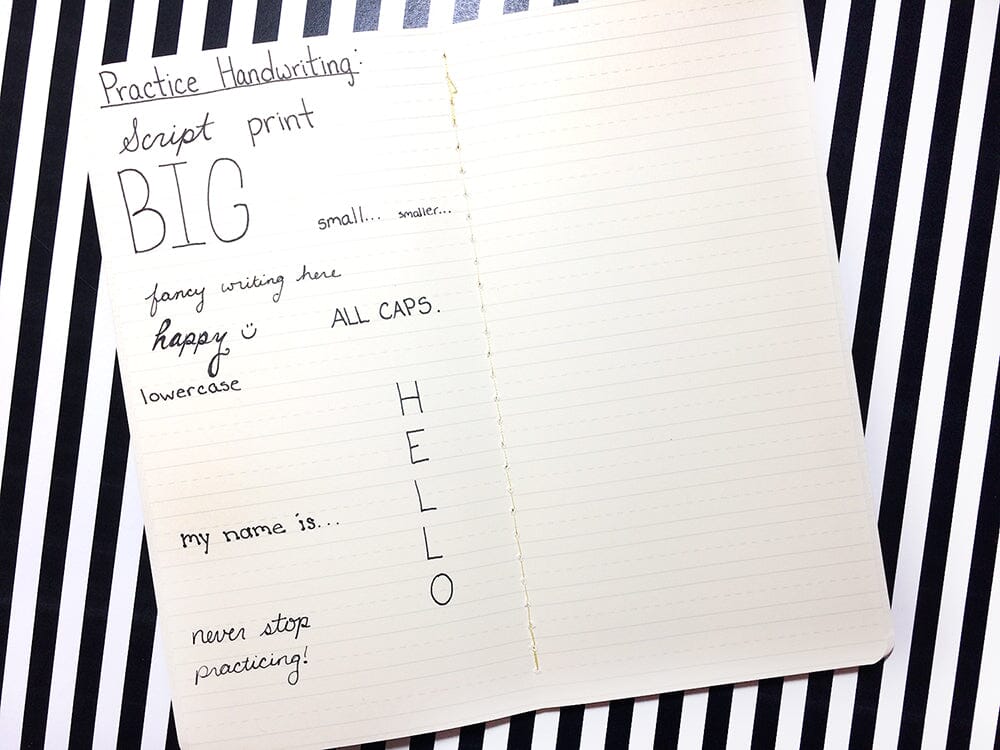 Dylusions Dyalog Handwriting Lines #2 Insert Book Tools & Accessories Dylusions 