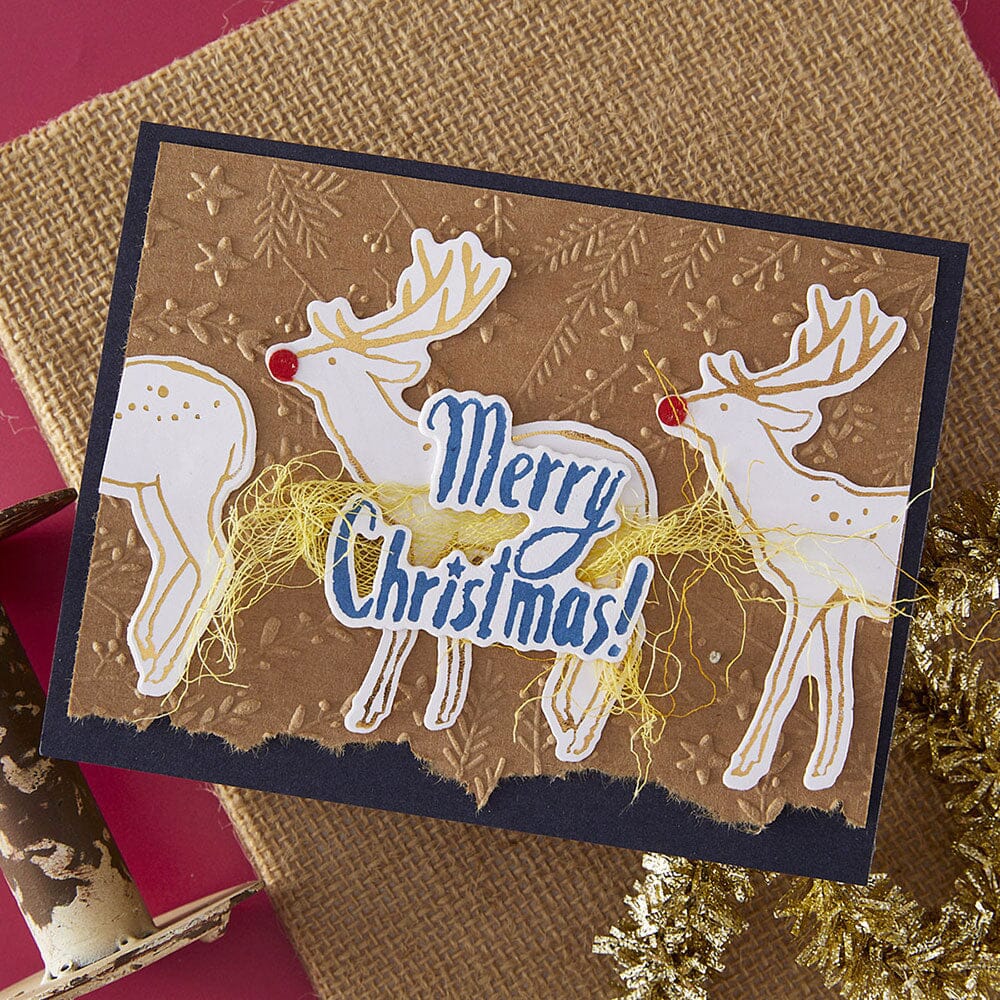 Dina Wakley MEdia Spellbinders Stars and Fronds 3D Embossing Folder Dies Dina Wakley Media 