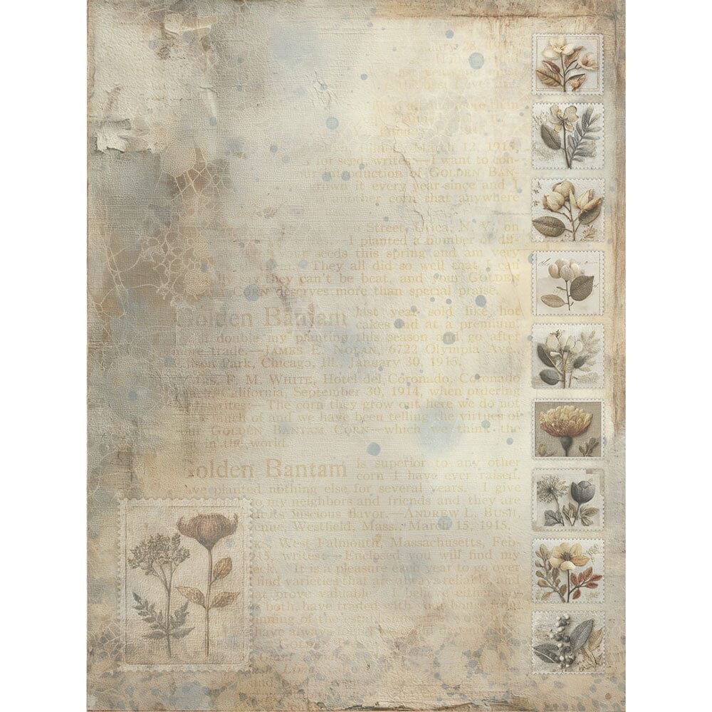 49 and Market Faded Memory Lane - 6x8 Collection Pack Surfaces 49 and Market 