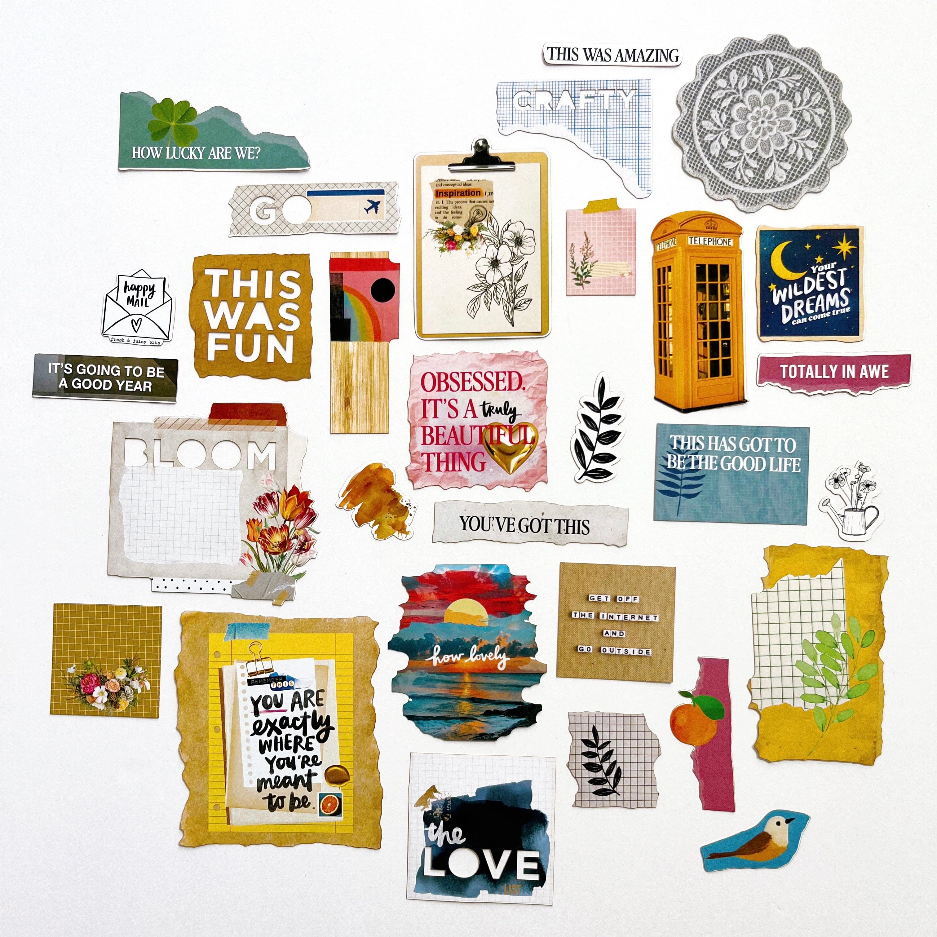 Amy Tangerine - Fresh & Juicy Bits, Ephemera 2 Surfaces Amy Tangerine 
