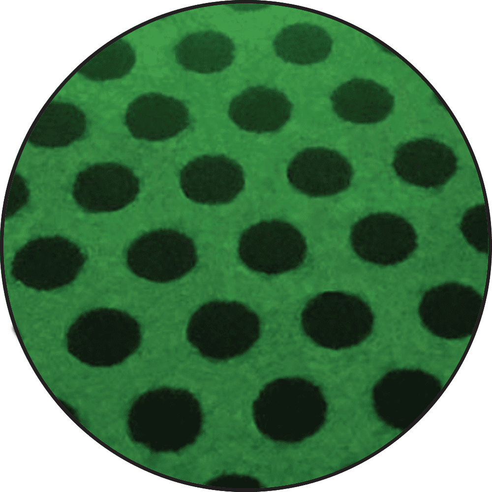 Embossing Powder Glow Up, 1oz Jar Powders Ranger Ink 