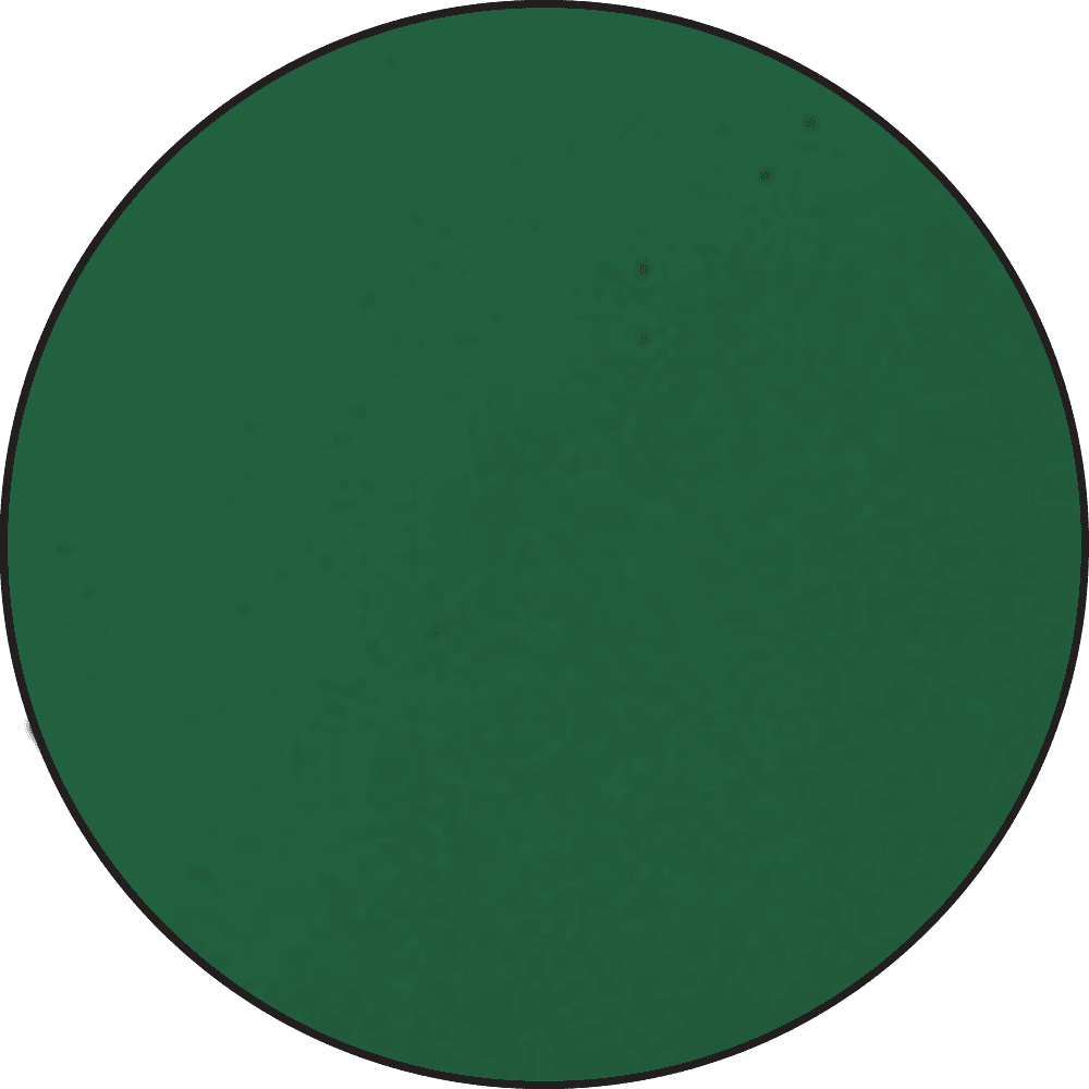 Embossing Powder Green, 1oz Jar Powders Ranger Ink 