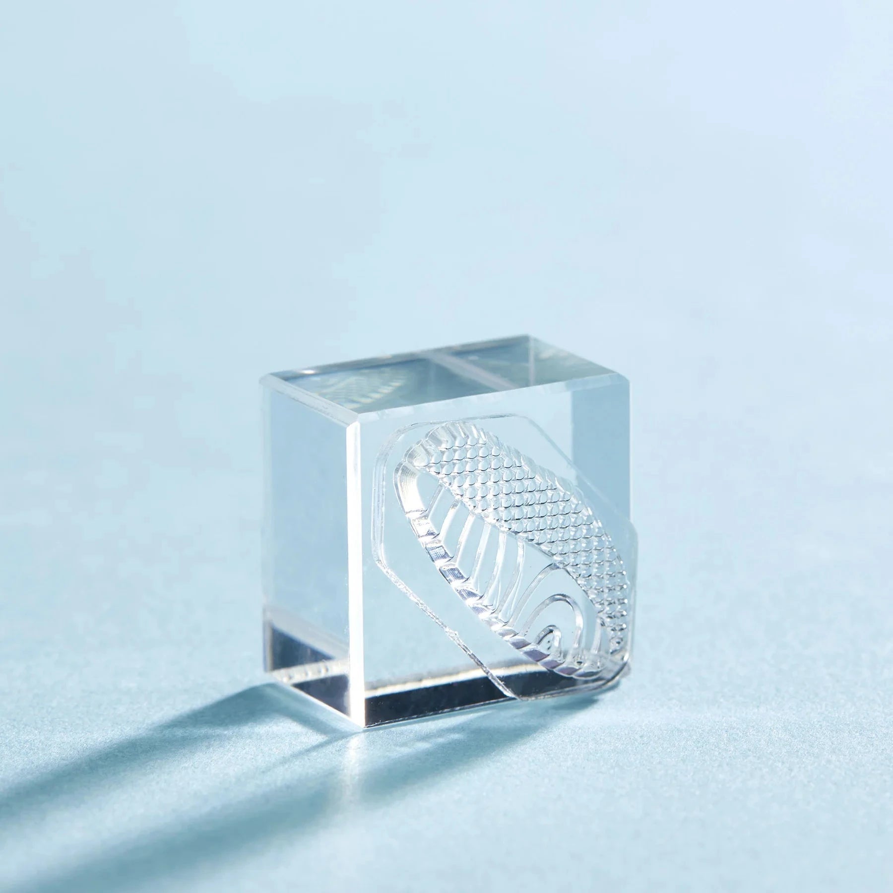 King Jim Kori Jirushi Transparent Ice Stamp - Small Size Salmon Stamps King Jim 