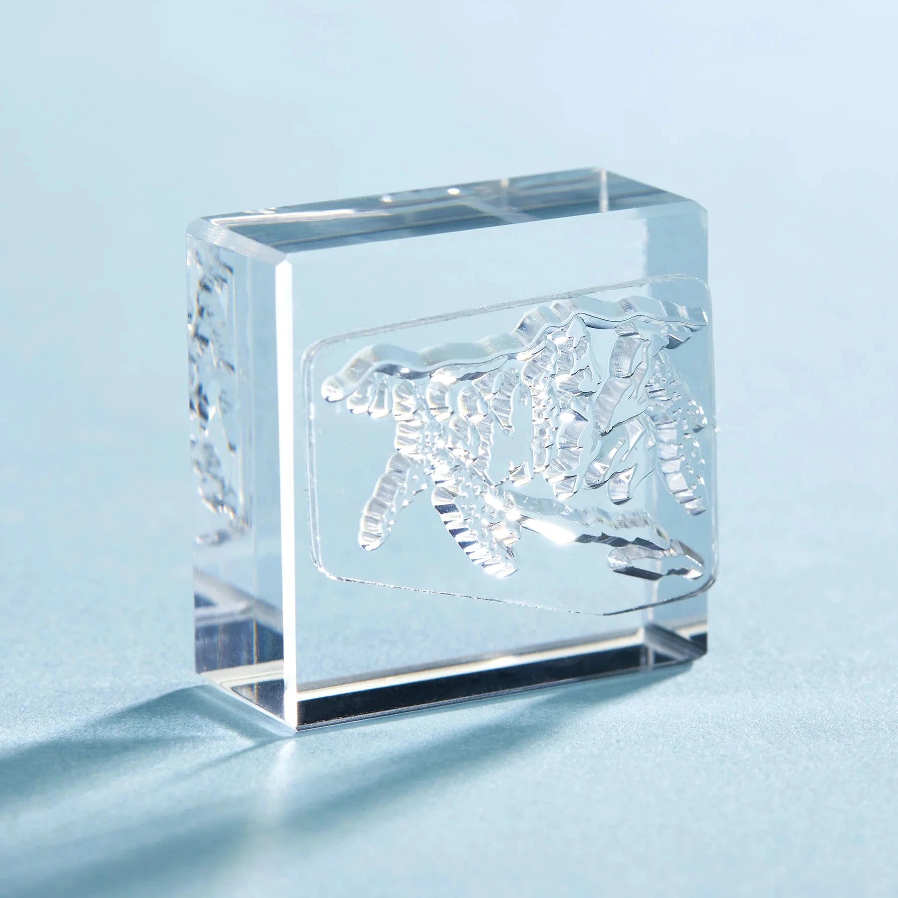 King Jim Kori Jirushi Transparent Ice Stamp - Large Size Yama Stamps King Jim 