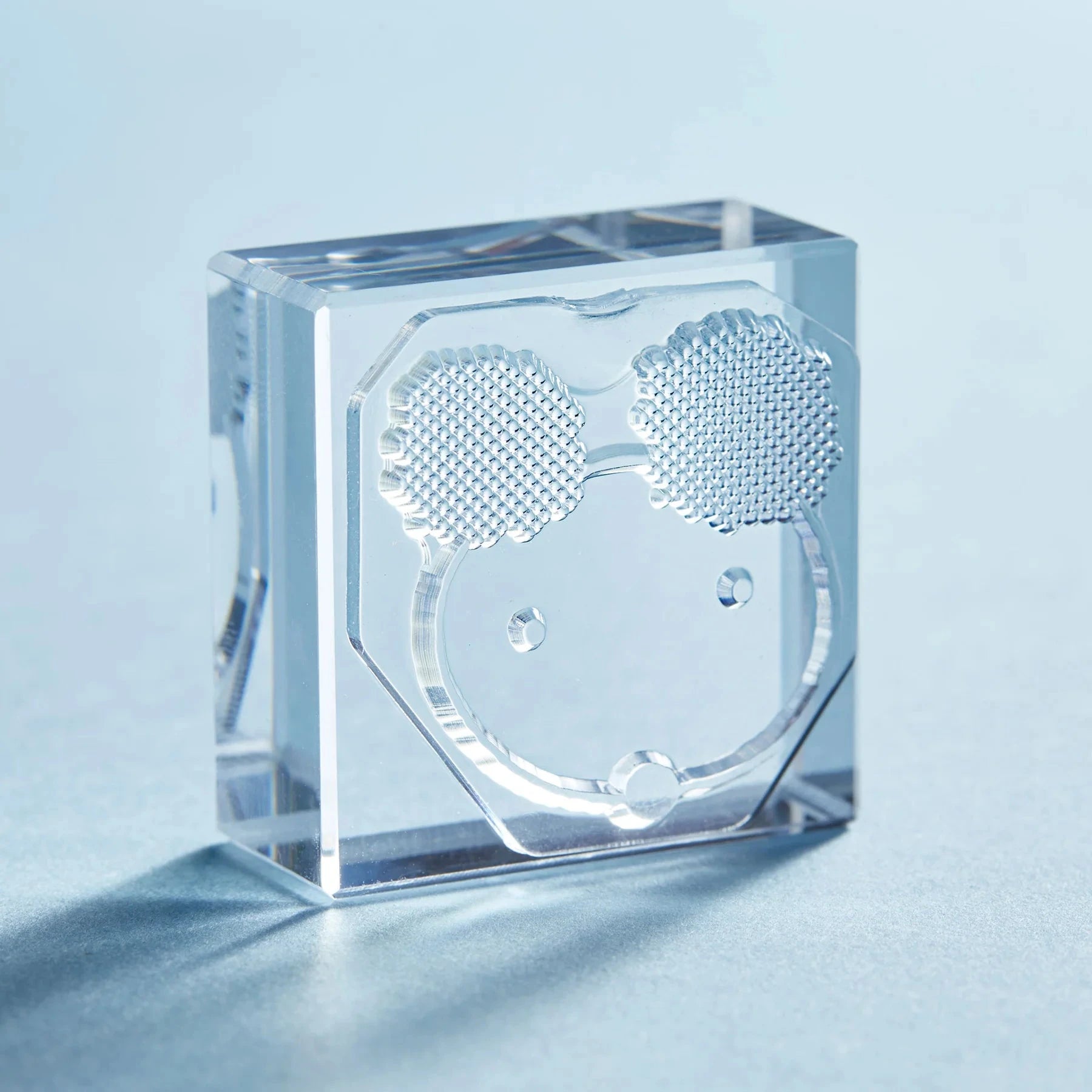 King Jim Kori Jirushi Transparent Ice Stamp - Large Size Bear Stamps King Jim 