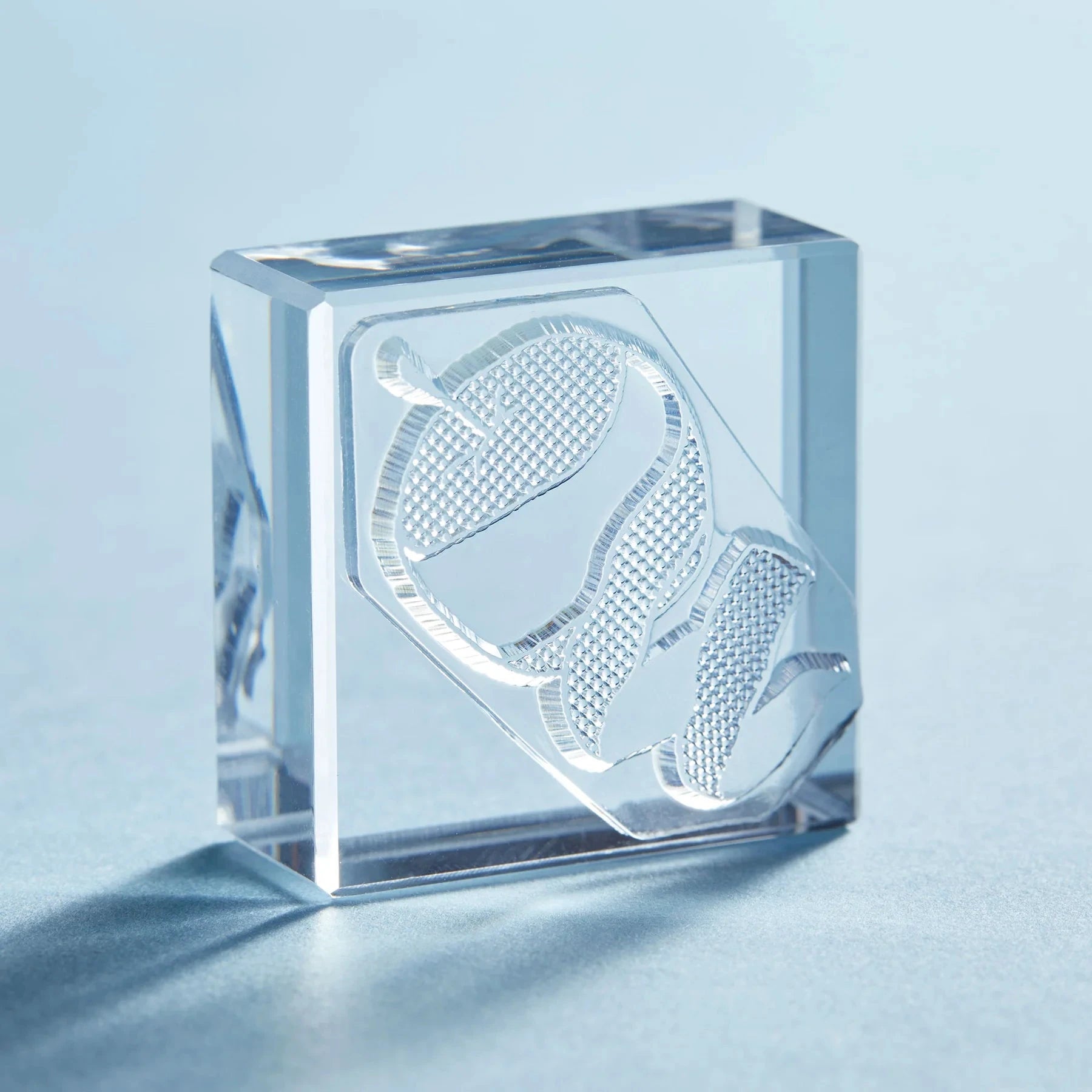 King Jim Kori Jirushi Transparent Ice Stamp - Large Size Apple Stamps King Jim 