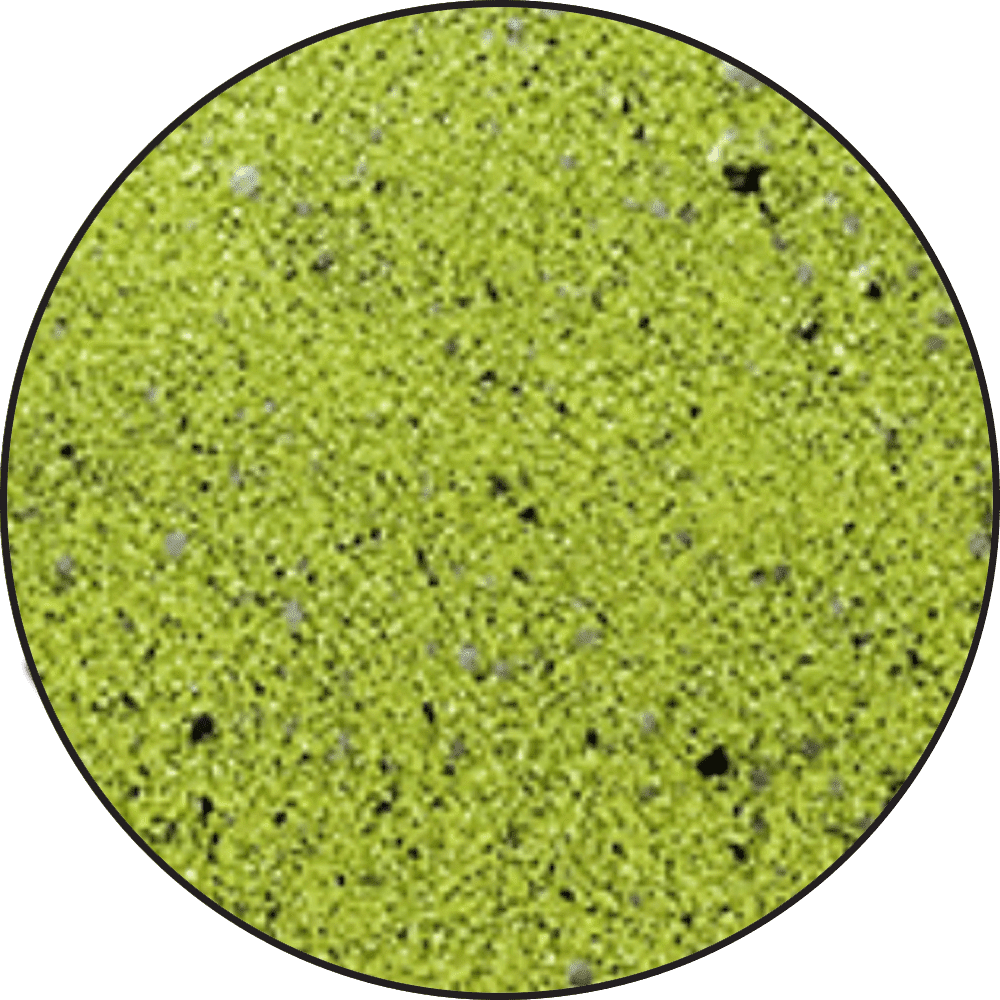 Ranger Mixed Media Powder Lime Powders Ranger Ink 