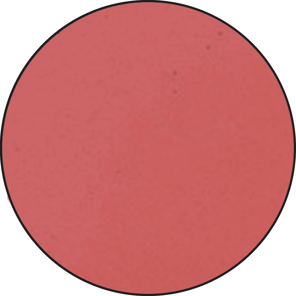 Embossing Powder Love Letter Metallics, 1oz Jar Powders Ranger Ink 