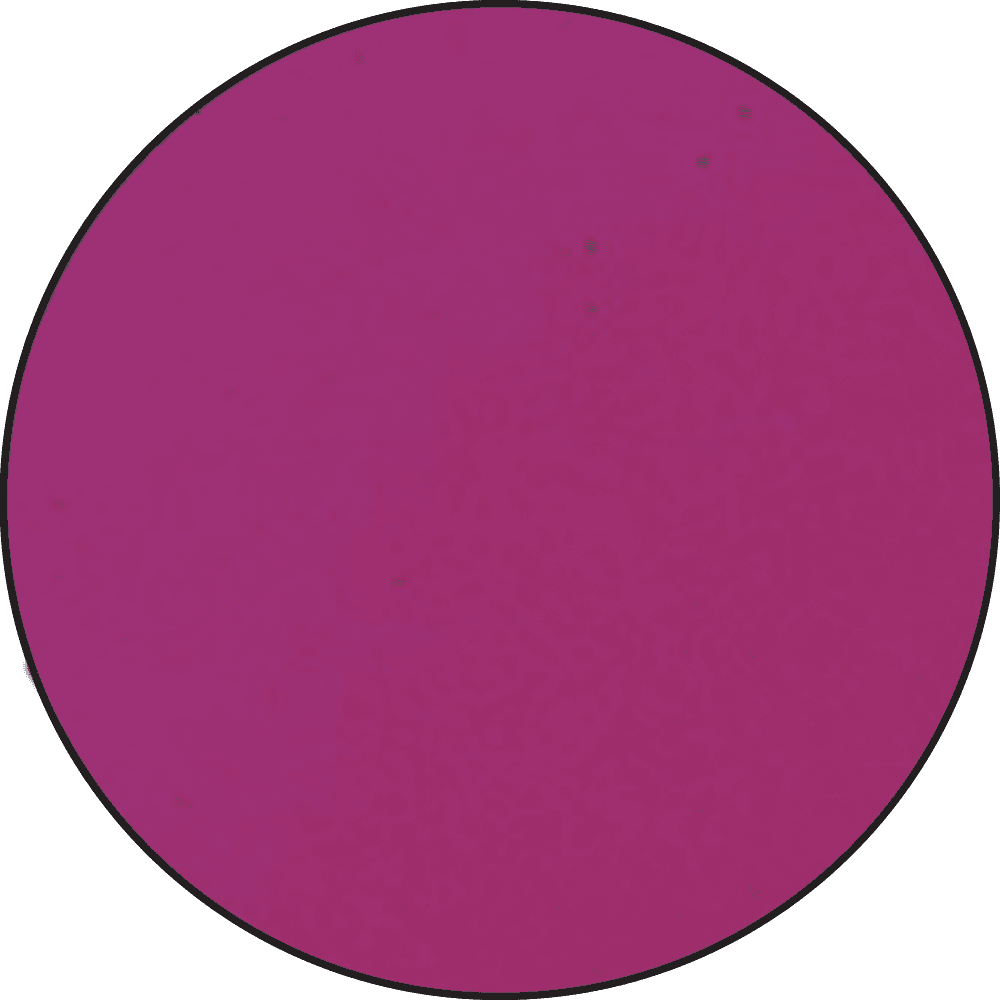 Embossing Powder Magenta, 1oz Jar Powders Ranger Ink 