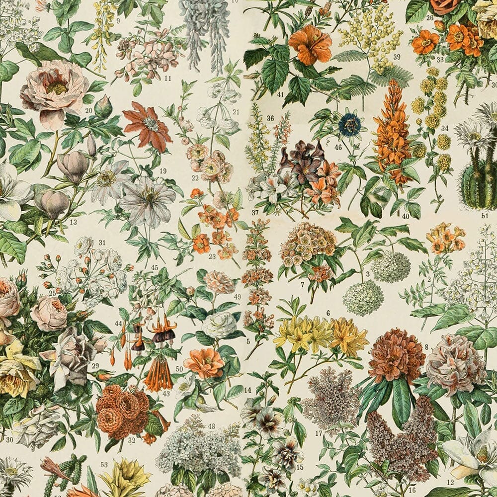 Tim Holtz Eclectic Elements Pre-Cut Fat Quarters FreeSpirit Fabrics, Orange Fabric Tim Holtz Other 