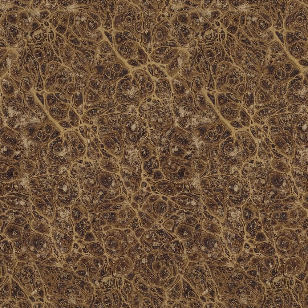 Tim Holtz Eclectic Elements Pre-Cut Fat Quarters FreeSpirit Fabrics, Neutral Fabric Tim Holtz Other 