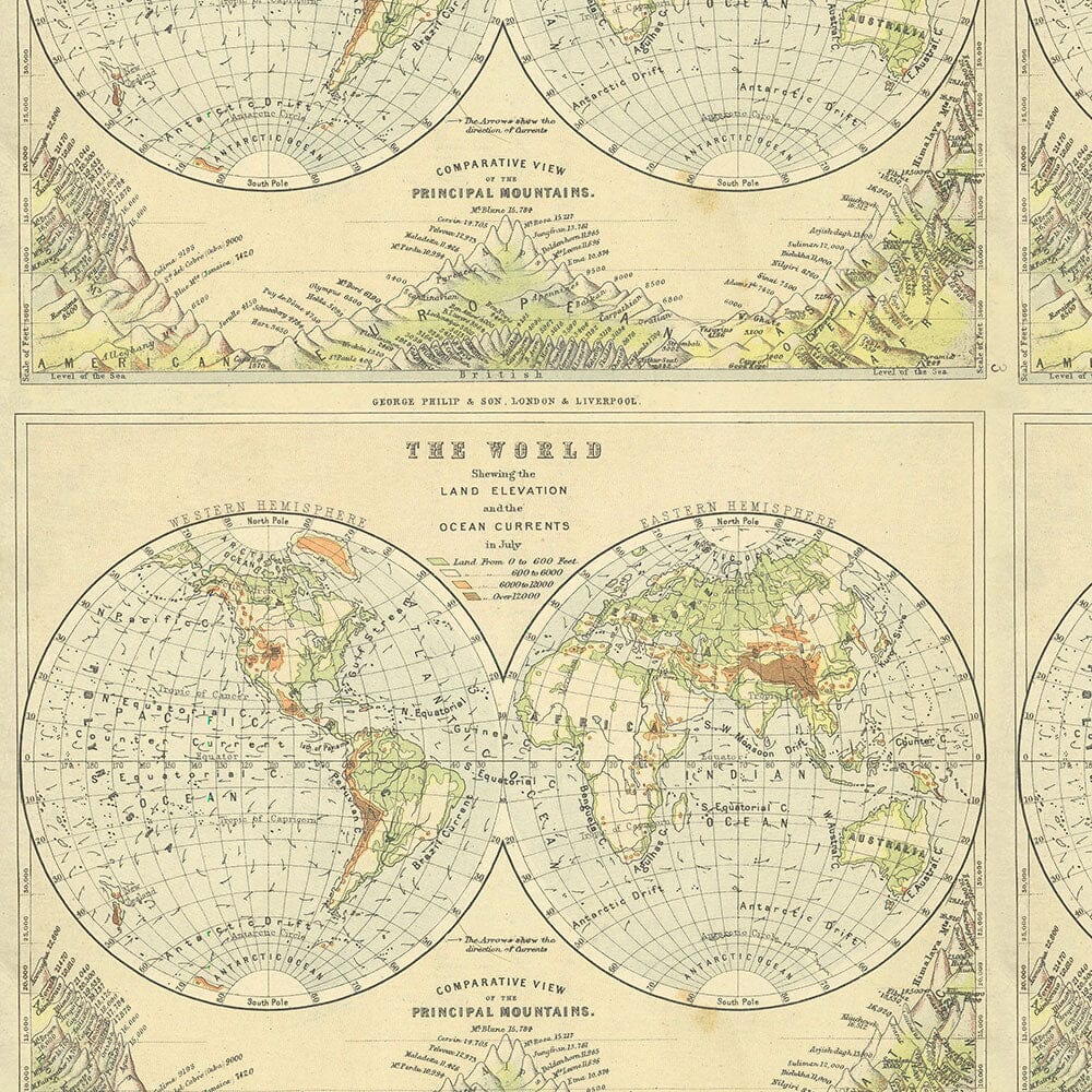 Tim Holtz Eclectic Elements Pre-Cut Fat Quarters FreeSpirit Fabrics, Green Fabric Tim Holtz Other 