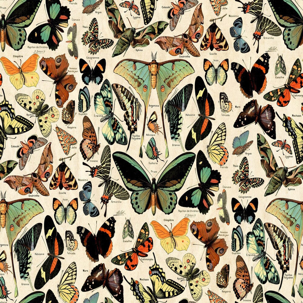 Tim Holtz Eclectic Elements Pre-Cut Fat Quarters FreeSpirit Fabrics, Teal Fabric Tim Holtz Other 