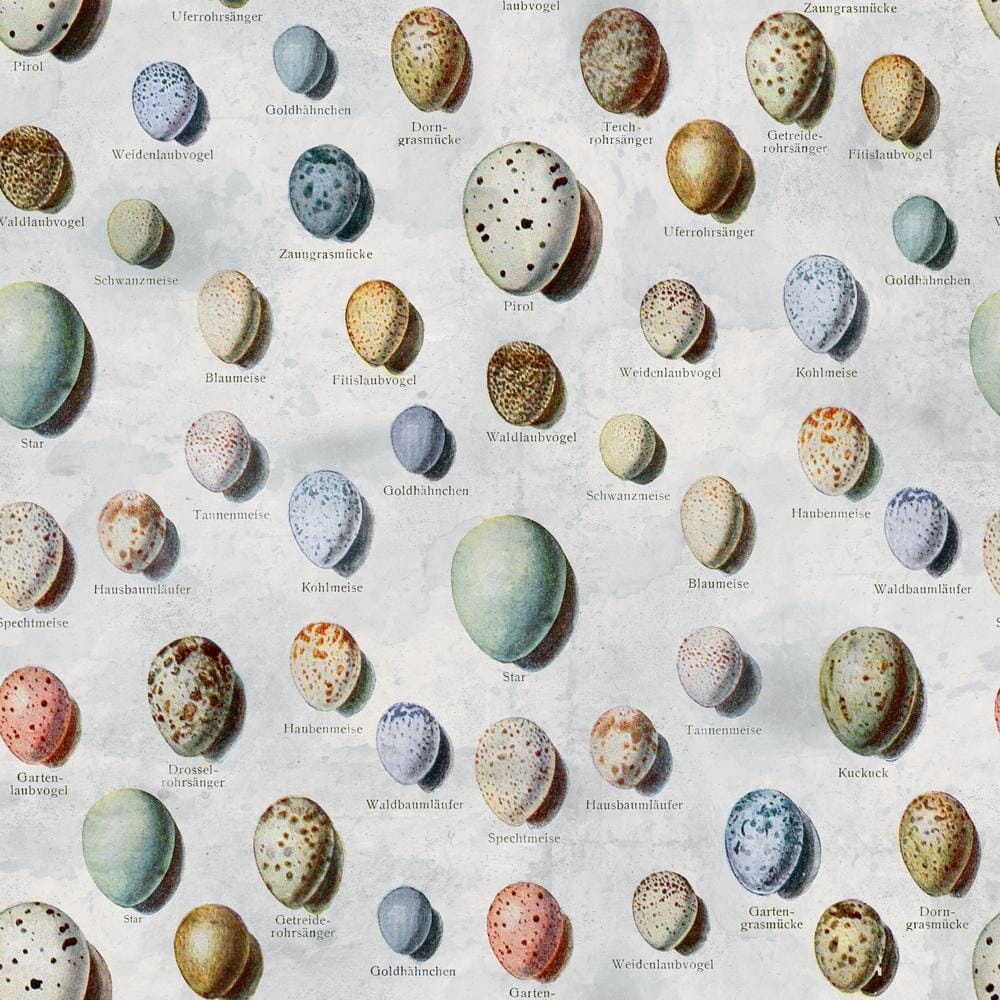 Tim Holtz Eclectic Elements Pre-Cut Fat Quarters FreeSpirit Fabrics, Blue Fabric Tim Holtz Other 