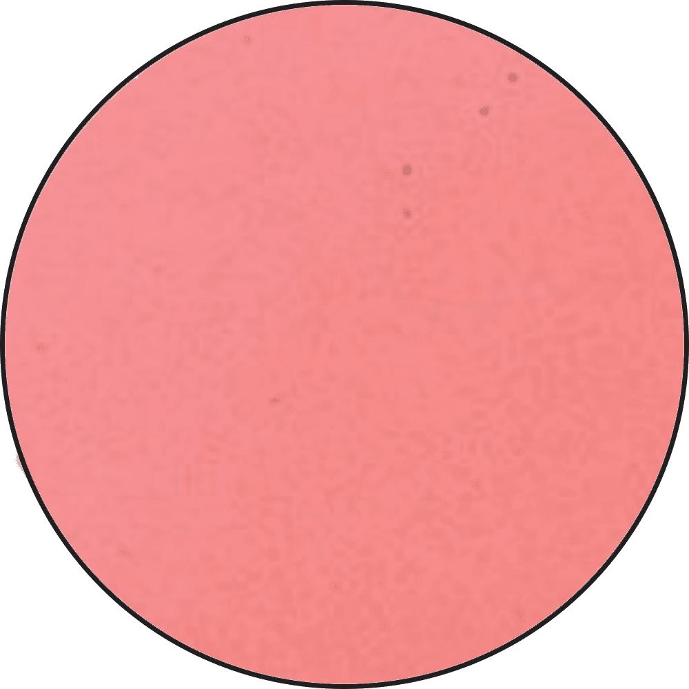 Embossing Powder Pink, 1oz Jar Powders Ranger Ink 