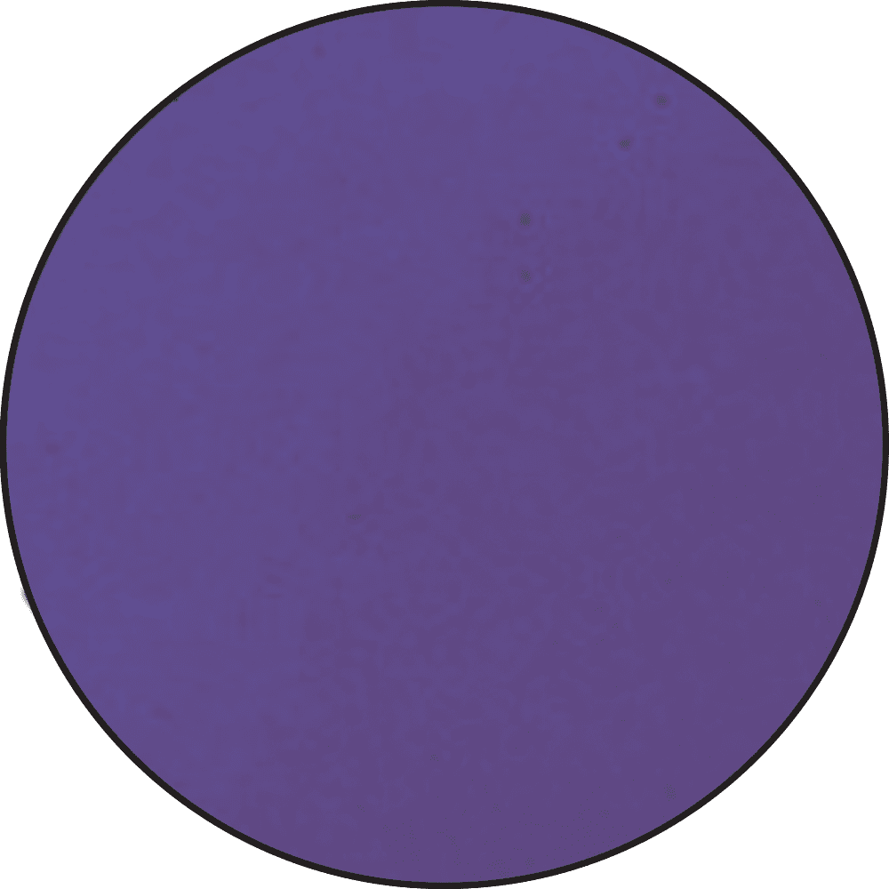 Embossing Powder Purple, 1oz Jar Powders Ranger Ink 