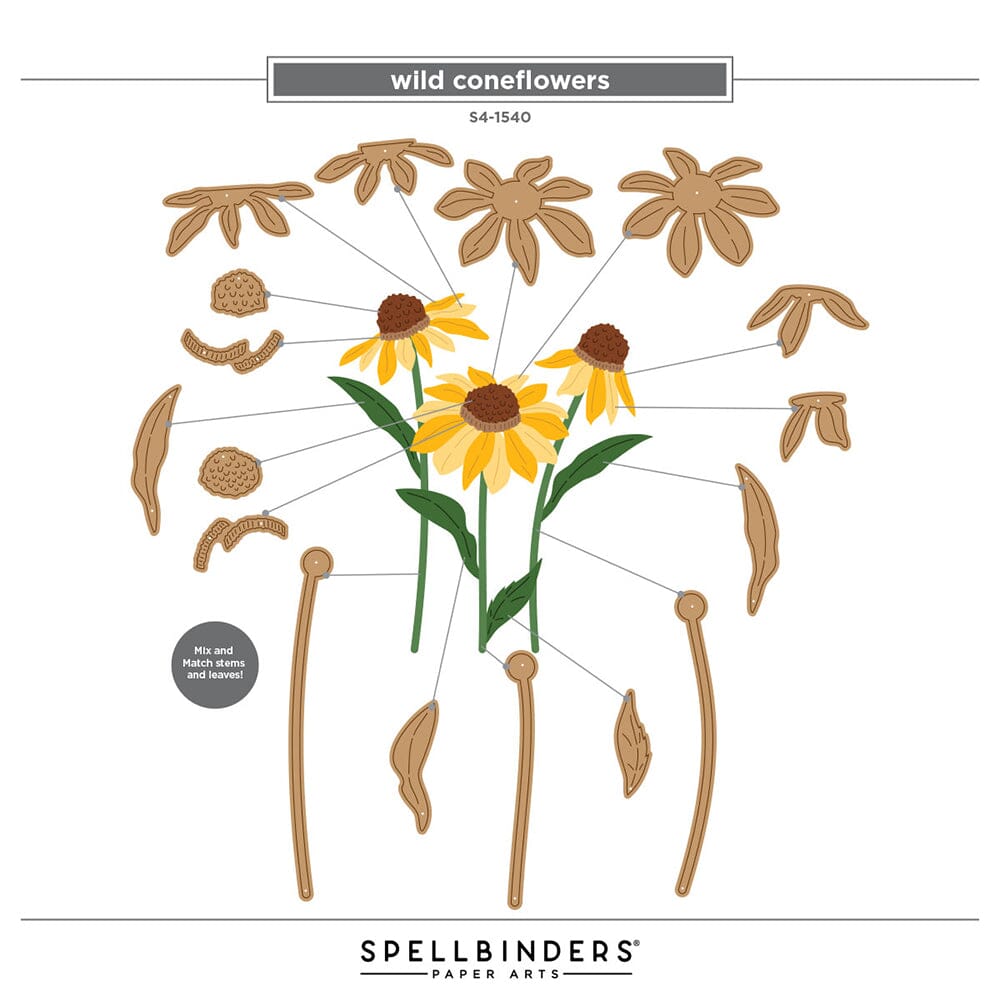 Simon Hurley create. Spellbinders Wild Coneflowers Etched Dies Cutting Dies Simon Hurley 