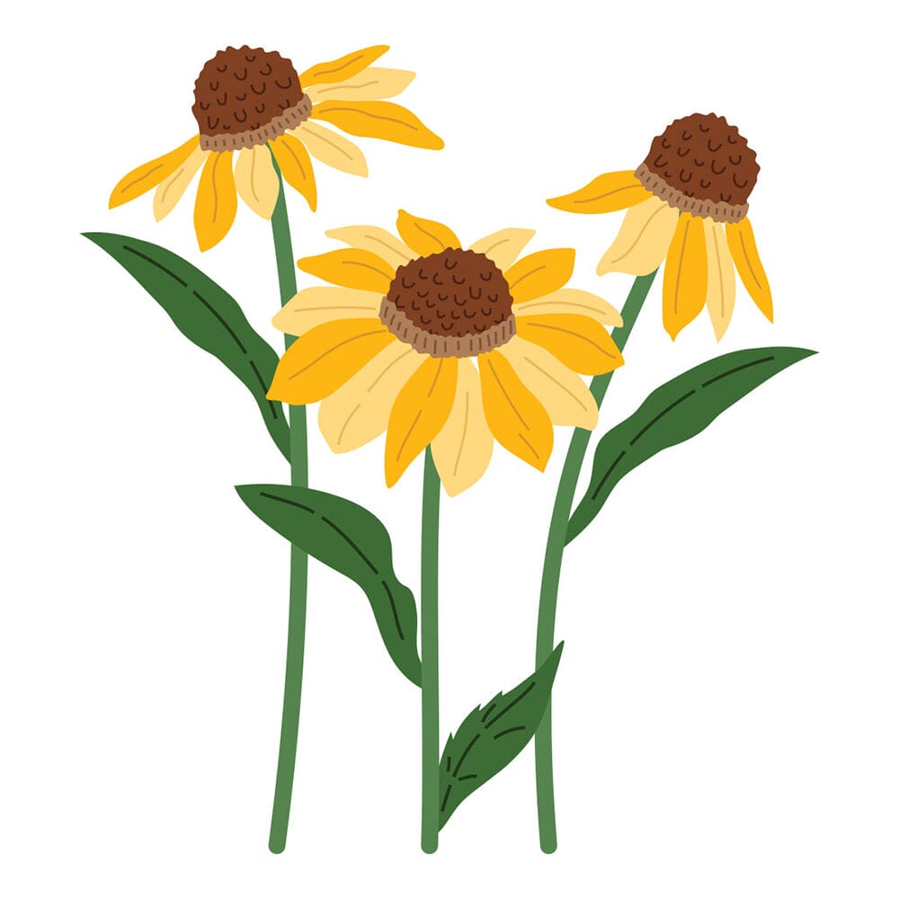 Simon Hurley create. Spellbinders Wild Coneflowers Etched Dies Cutting Dies Simon Hurley 