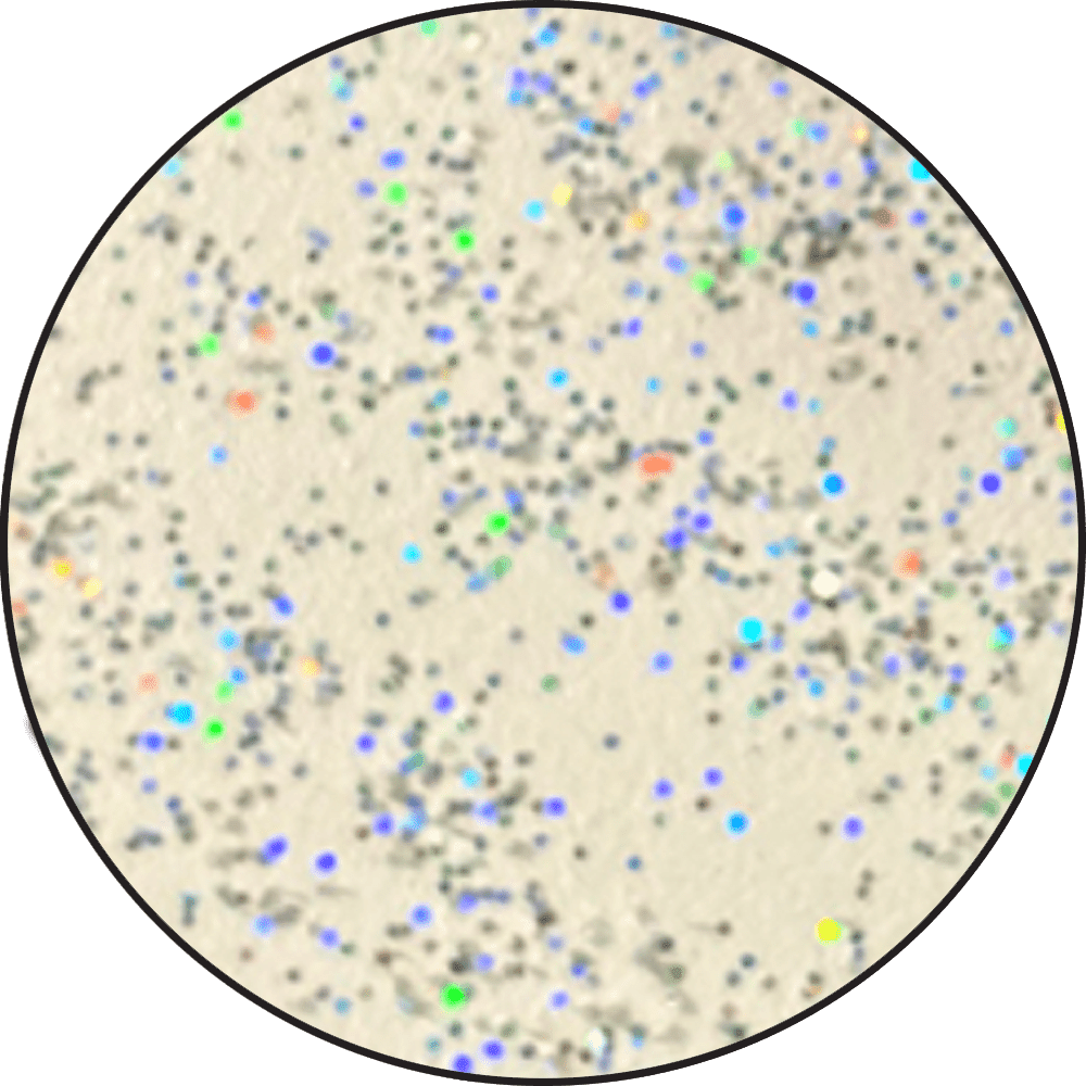 Embossing Powder Snowflake Tinsel, 1oz Jar Powders Ranger Ink 