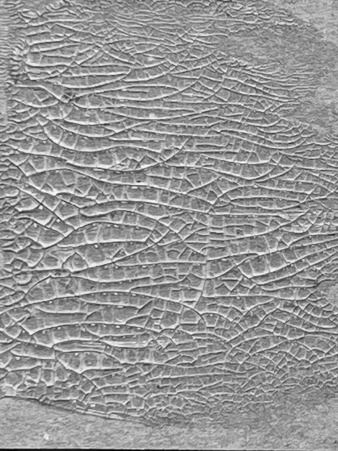 Tim Holtz Distress® Crackle Paste Translucent, 3oz Adhesives & Mediums Distress 