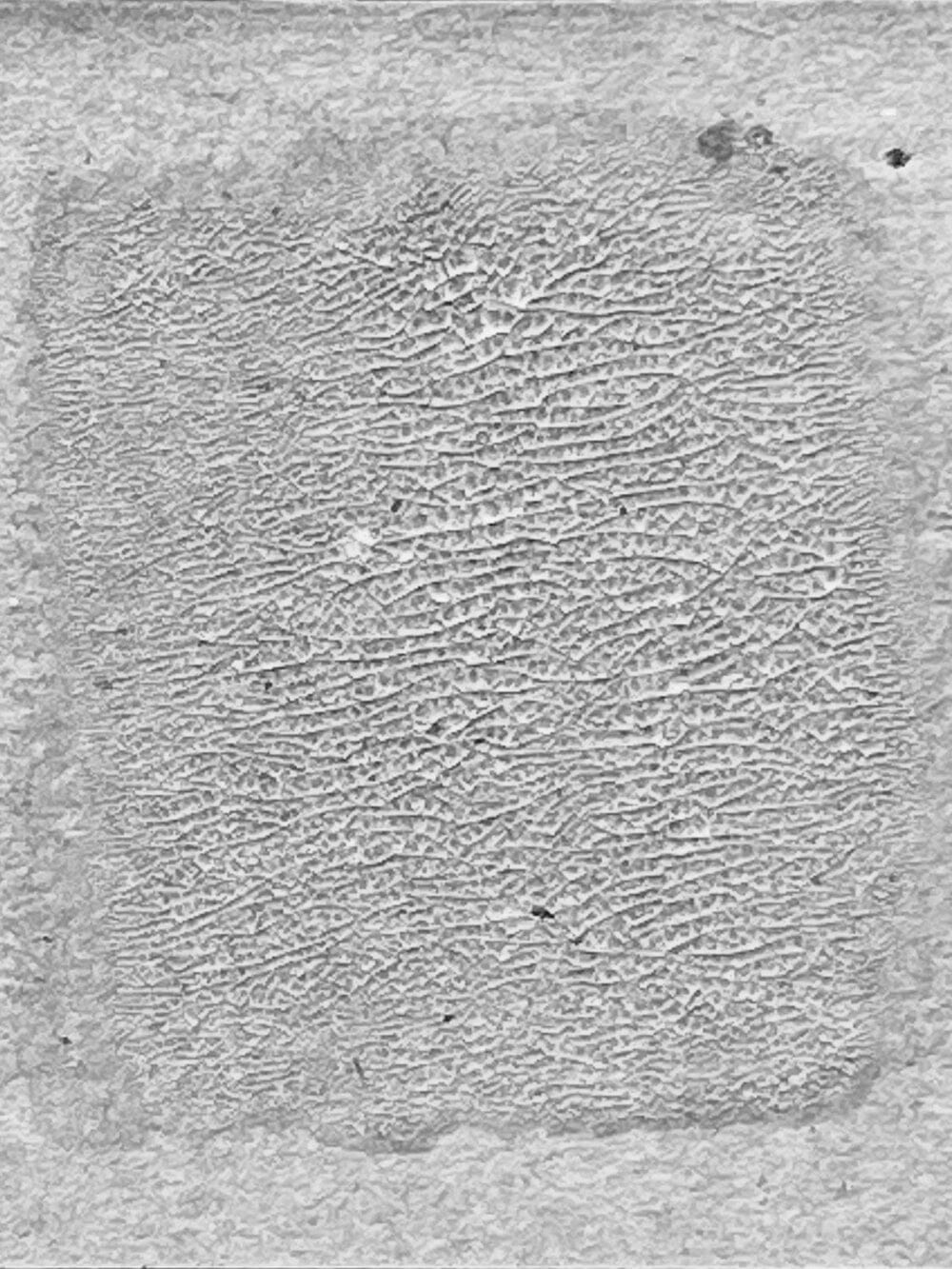 Tim Holtz Distress® Crackle Paint Translucent, 3oz Adhesives & Mediums Distress 