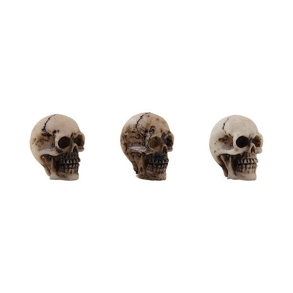 Tim Holtz Idea-ology Skulls + Bones Halloween Tim Holtz Other 
