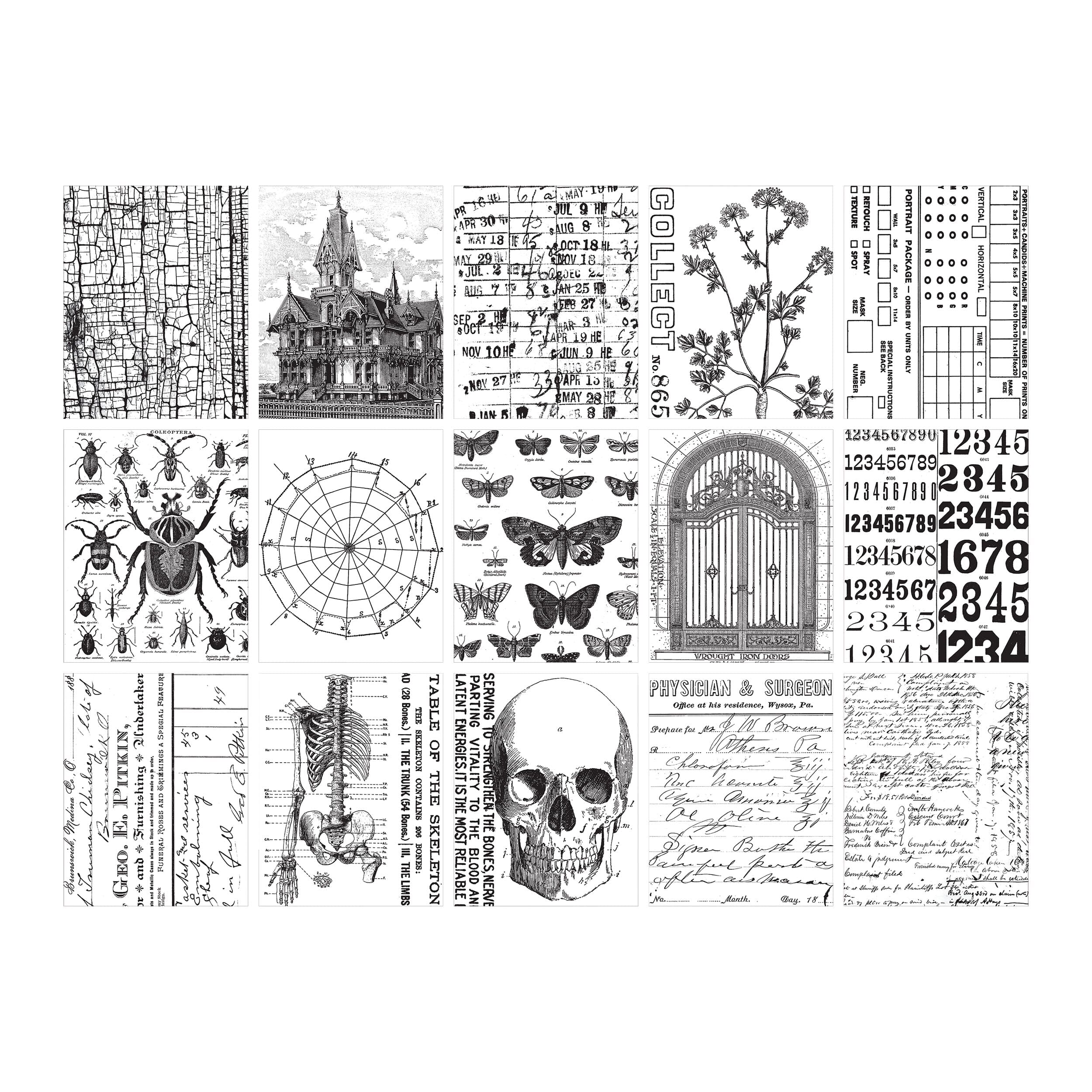 Tim Holtz Idea-ology Collage Paper Tim Holtz Other 