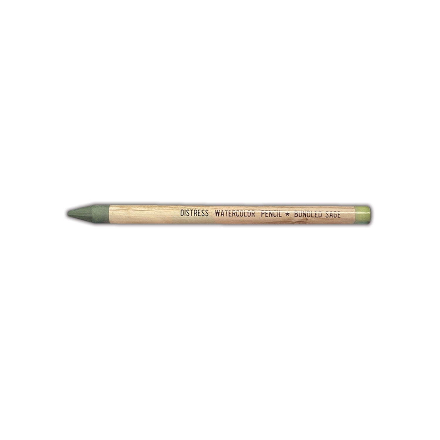Tim Holtz Distress® Watercolor Pencil Bundled Sage Writing & Coloring Distress 