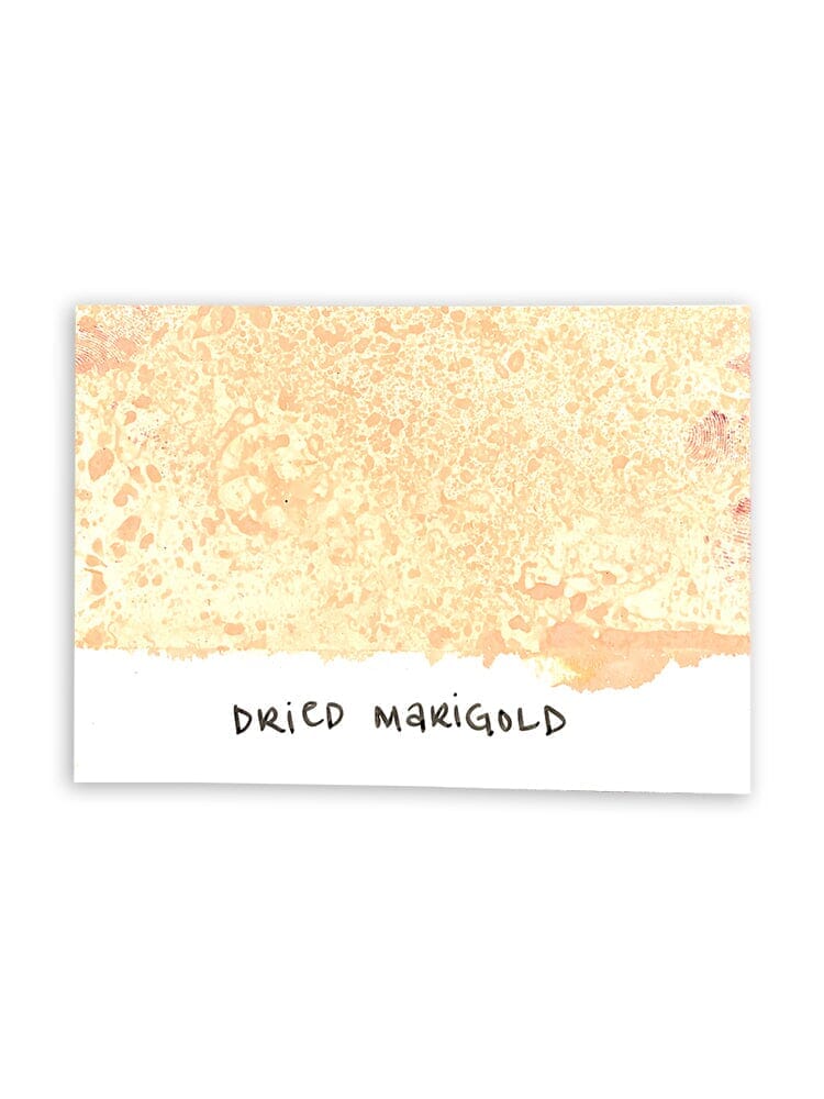 Tim Holtz Distress® Spray Stain Dried Marigold, 2oz Sprays Distress 