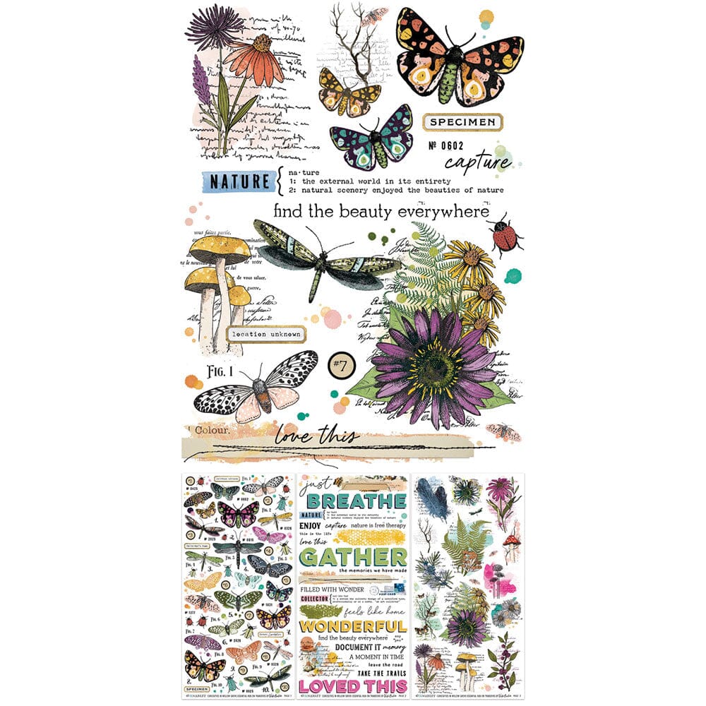 49 and Market Curiosities in Willow Grove - Essential Rub-on Transfers Surfaces 49 and Market 