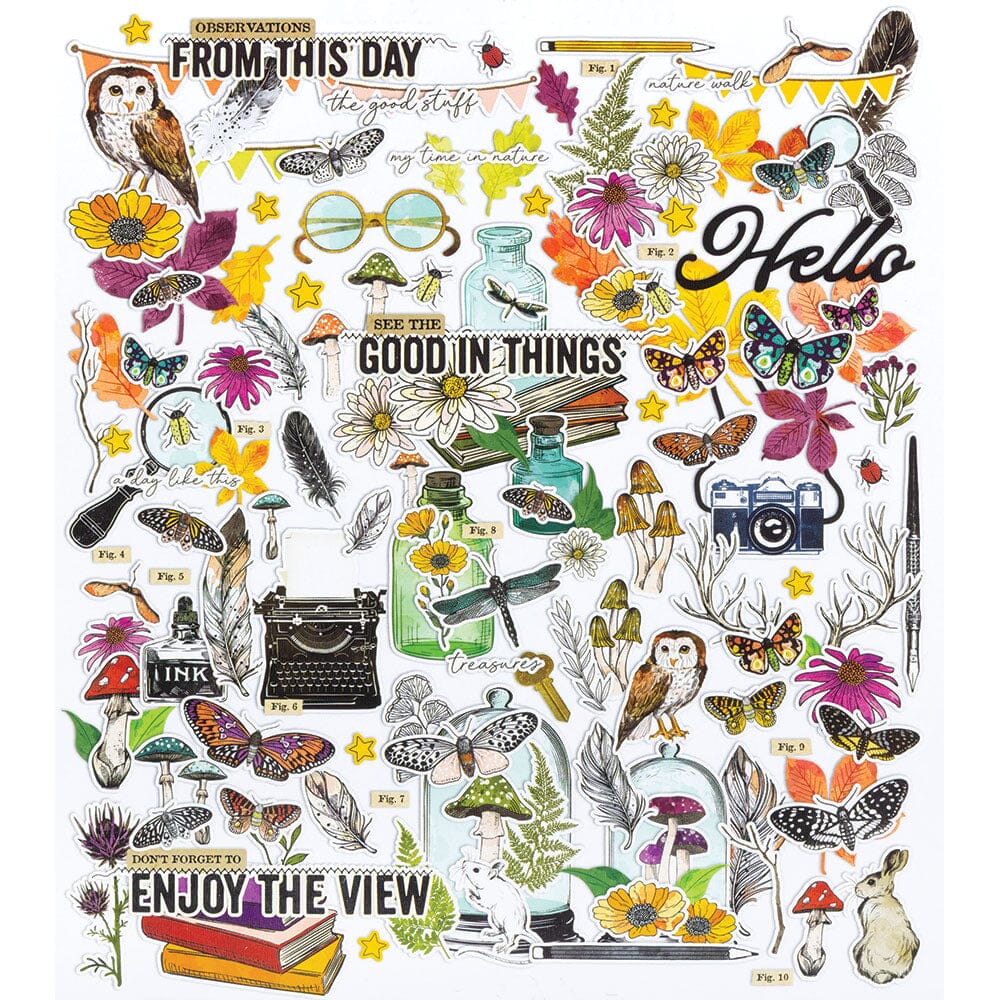 49 and Market Curiosities in Willow Grove - Icons and Titles Ephemera Set Surfaces 49 and Market 