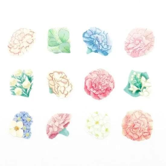 Bande Washi Roll Stickers - Carnation Bouquet Pink Washi Tape Bande 