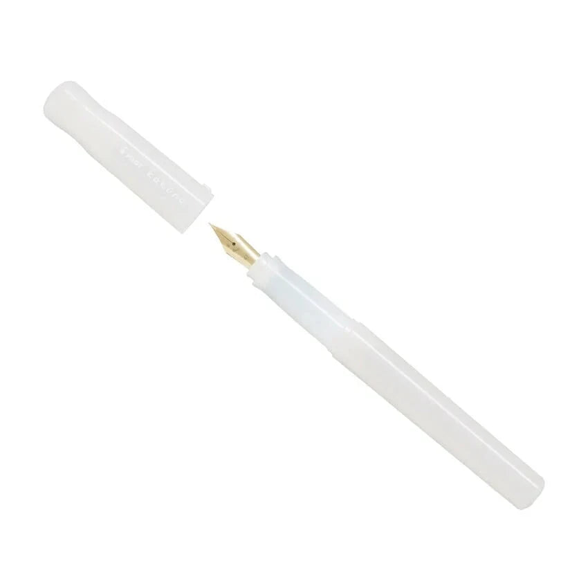 Pilot Kakuno Fountain Pen Madoromi Series Writing & Coloring Pilot Ivory Fine 
