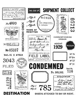 Tim Holtz The Field Notes Stamp Set Stamps Tim Holtz Other 