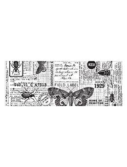 Tim Holtz Idea-ology Collage Paper Entomology Idea-ology Tim Holtz Other 